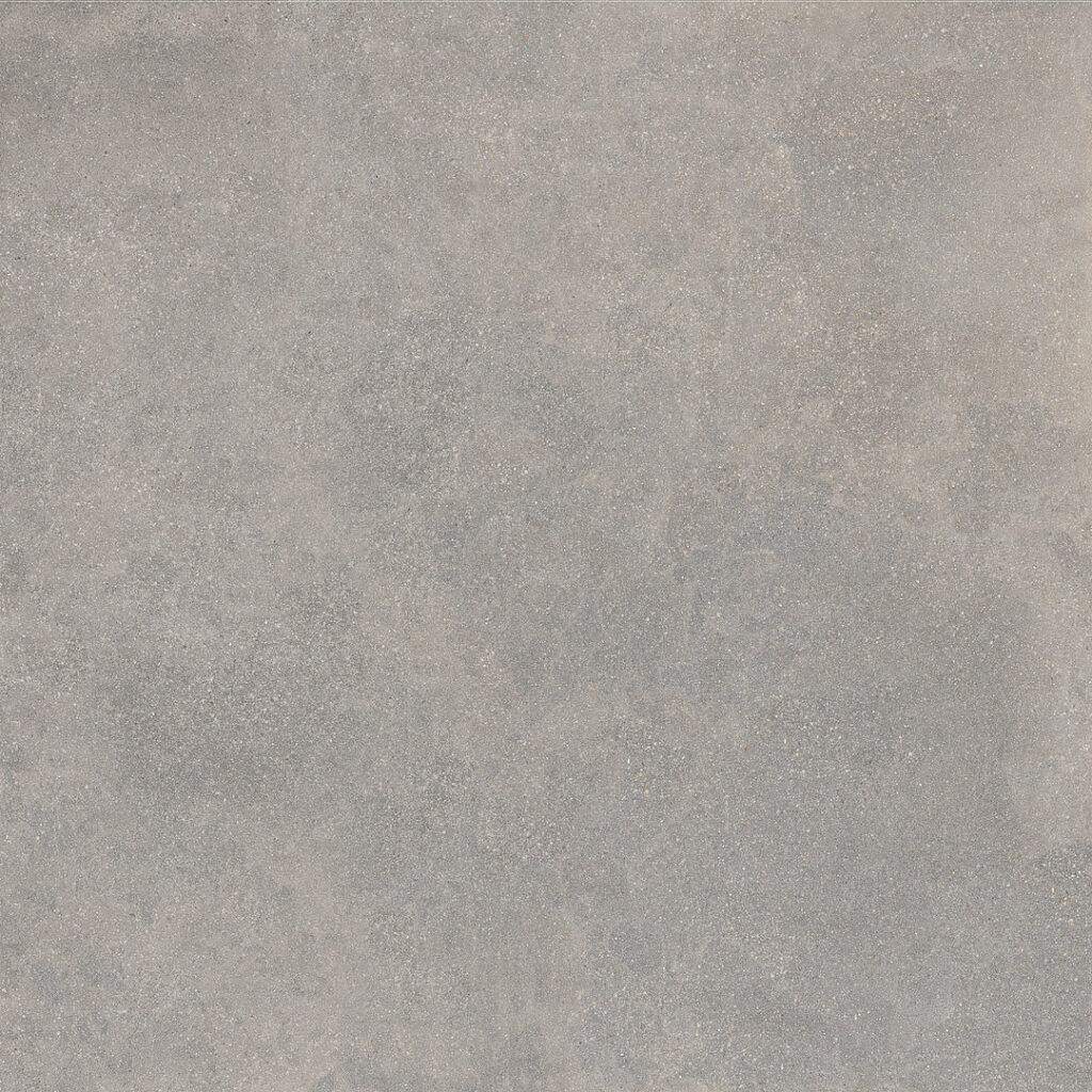 RO05 RECONCRETE NAT. 60x60 cm grau